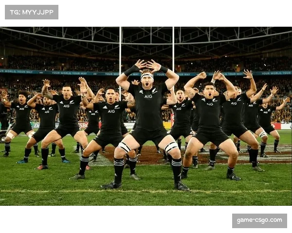 新西兰全黑队公布2026年首期集训名单,多名新人入选